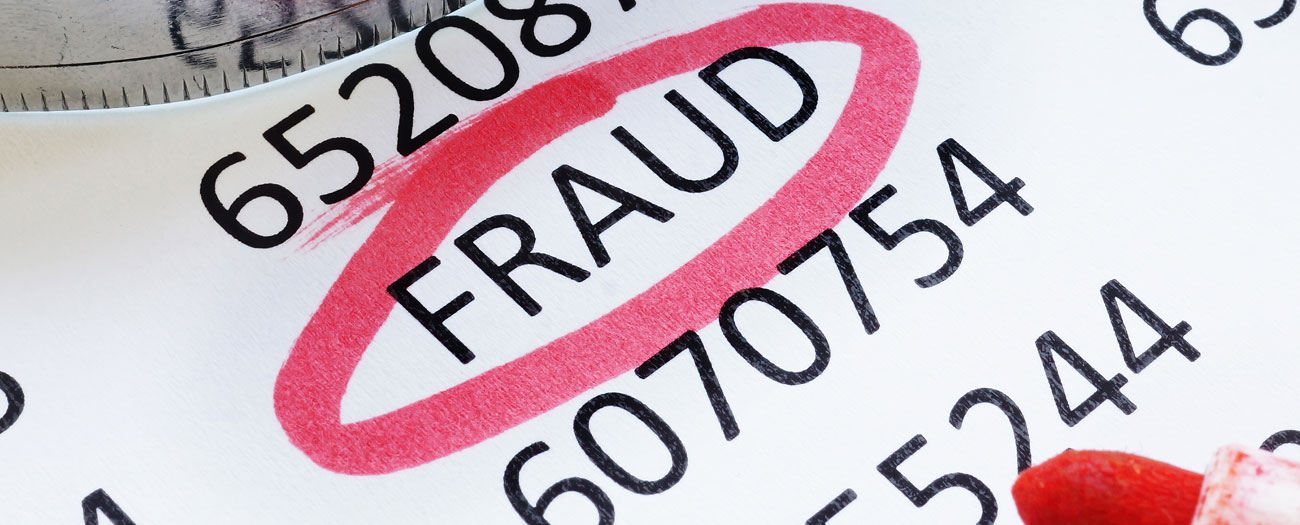 Fraud and Financial Investigations