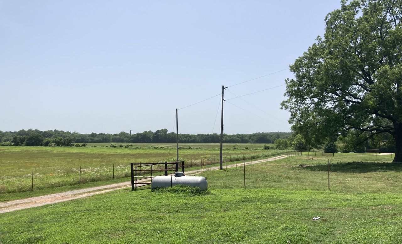 Black farmers and ranchers