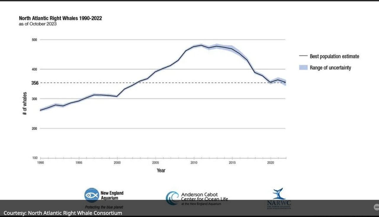 (Courtesy: North Atlantic Right Whale Consortium/State House News Service)