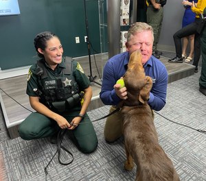 Osceola County Sheriff's Office newest bloodhound, Luke, licks Scent Evidence K9 CEO Paul Coley. As part of a new partnership with the Osceola Sheriff's Office, the Senior Resource Alliance and Scent Evidence K9 in an effort to find missing people in the county faster, Coley announced on Wednesday.