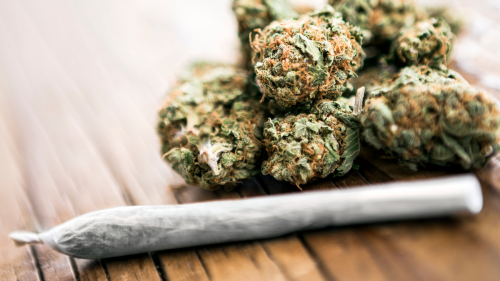 weed-cannabis-marijuana.jpg