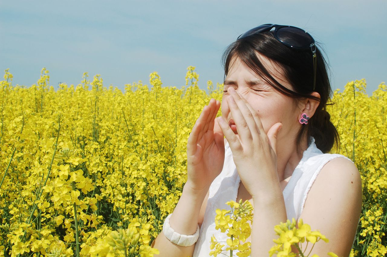 A woman sneezes in a field of pollen.