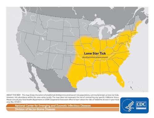 Lone star tick