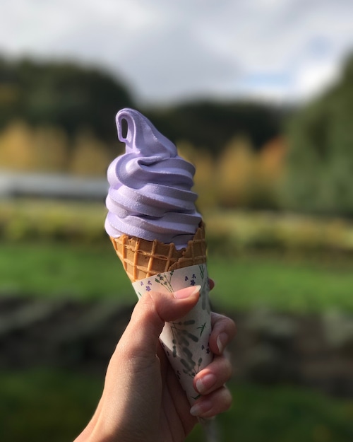 Lavender ice cream