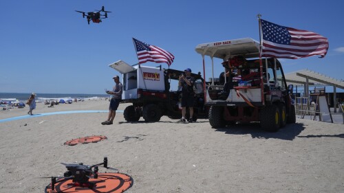 Drone Beach Bird Attacks