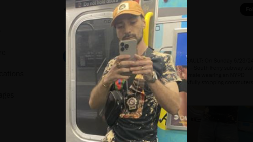 Vigilante fake NYPD cop pepper-sprays Manhattan tourist subway fare evader