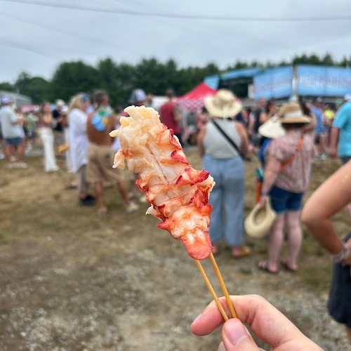 Levitate Music and Arts Festival Food