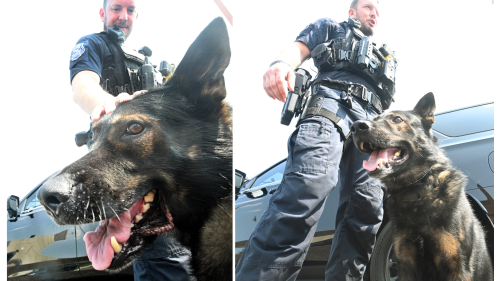 Warren K-9 officer raising money for former four-legged partner's cancer treatment