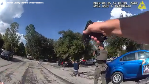 Cops with guns pulled chased man through Walmart produce section, Florida video shows