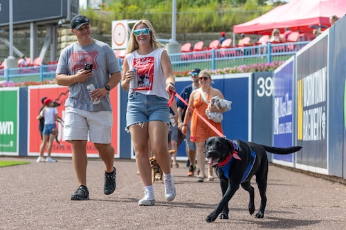 Bark in the Park