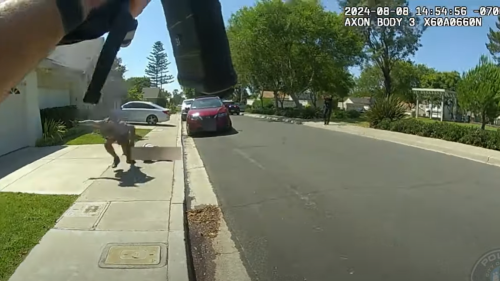 Video: Man who stabbed his mother to death in Irvine charged at officers before killed