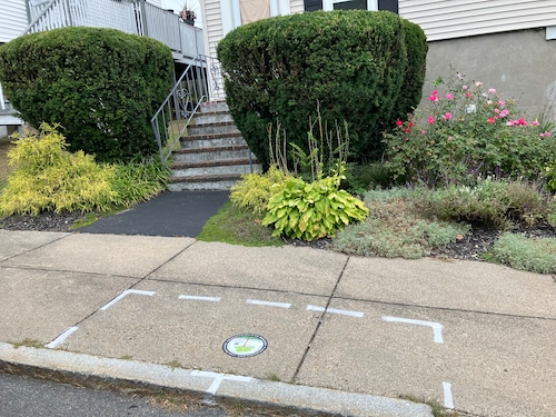 Boston tree planting