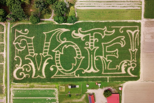 Mike's Maze 2020 design