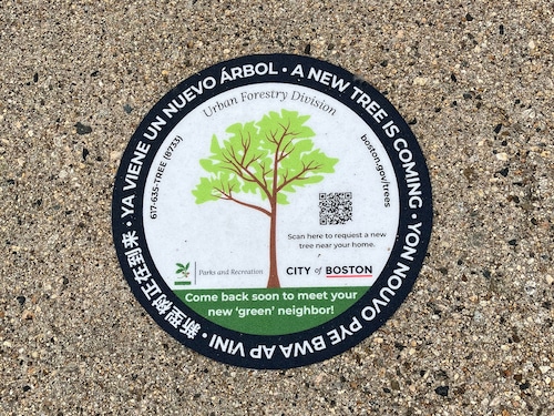 Boston tree program