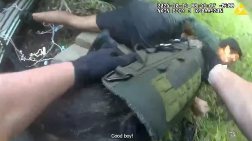 BWC: Fla. K-9 locates 4 escaped juveniles after they strangled detention officer unconscious