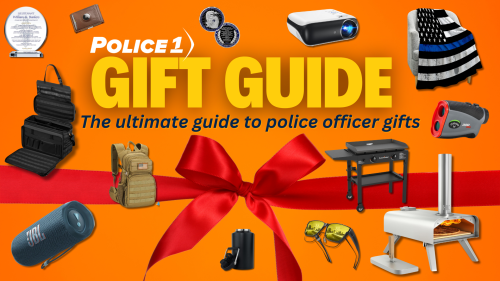 P1 Gift Guide.png