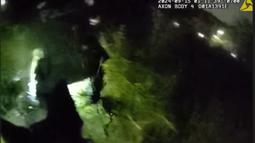 Video: Wash. K-9 helps take down fleeing cannabis dispensary burglary suspect