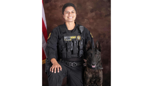 Richland County sheriff’s department K-9 dies from injuries suffered in the line of duty