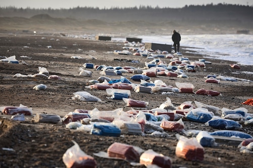 beach debris AP