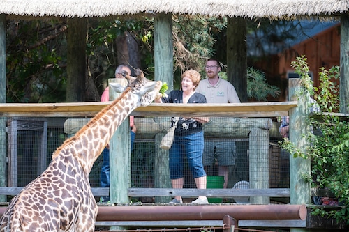 Franklin Park Zoo