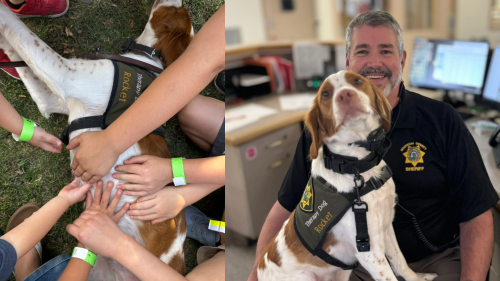 'He's our therapy': Kootenai sheriff's dog Rocket gets nominated for national first-responder award