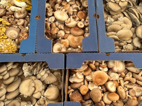 Eastie Farm mushrooms