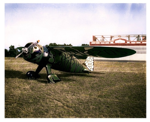 L1 Cicada color version