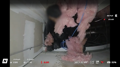 Screenshot 2025-05-13 082904.png