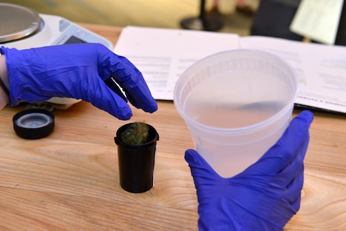 medical marijuana