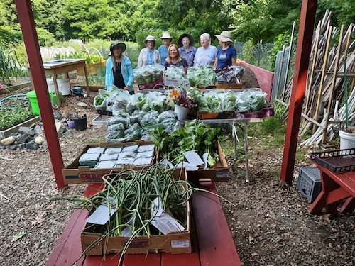 Full Circle Food Pantry Garden
