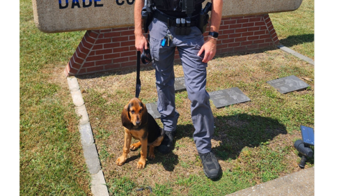 Affiliate Article 1 thumbnail - JP - 2025-07-16T110514.223.png