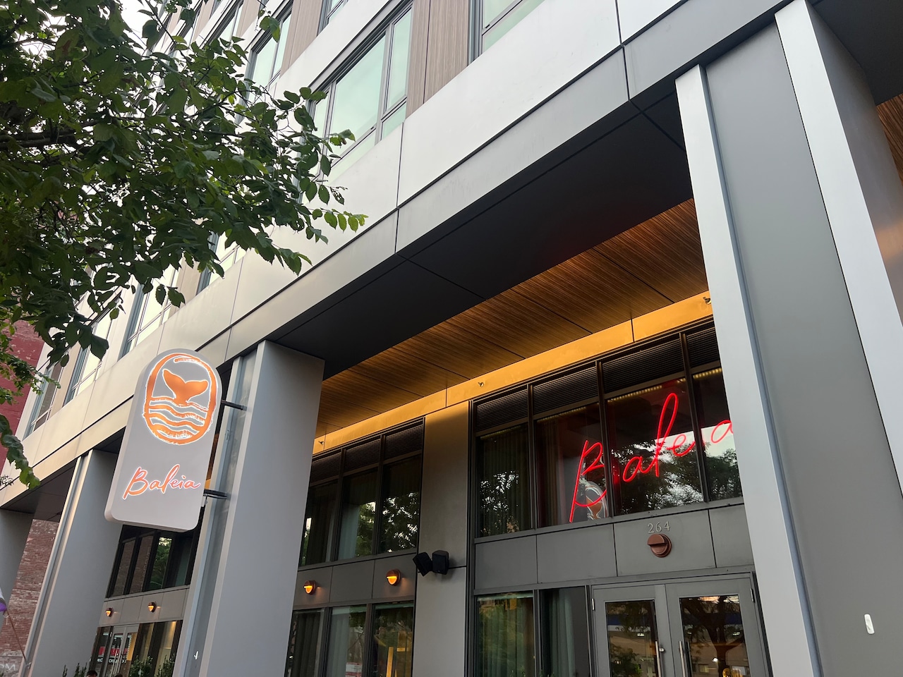 Baleia Boston