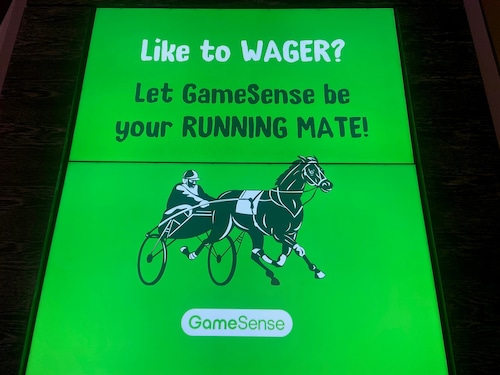 US gambling gamesense horse