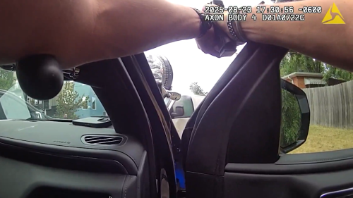 Screenshot 2025-08-29 120247.png