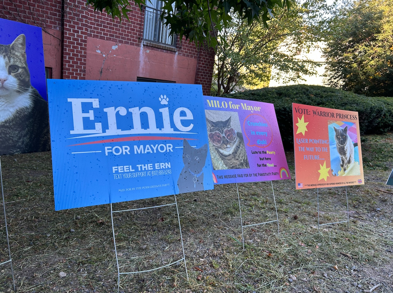 Somerville bike path mayor