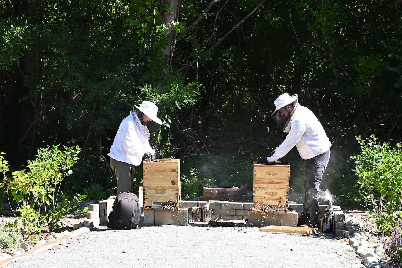 Beehives at Pondville Correctional Center in Norfolk