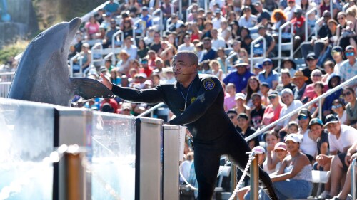 ENTER-THIS-SAN-DIEGO-COP-ALSO-1-SD.jpg