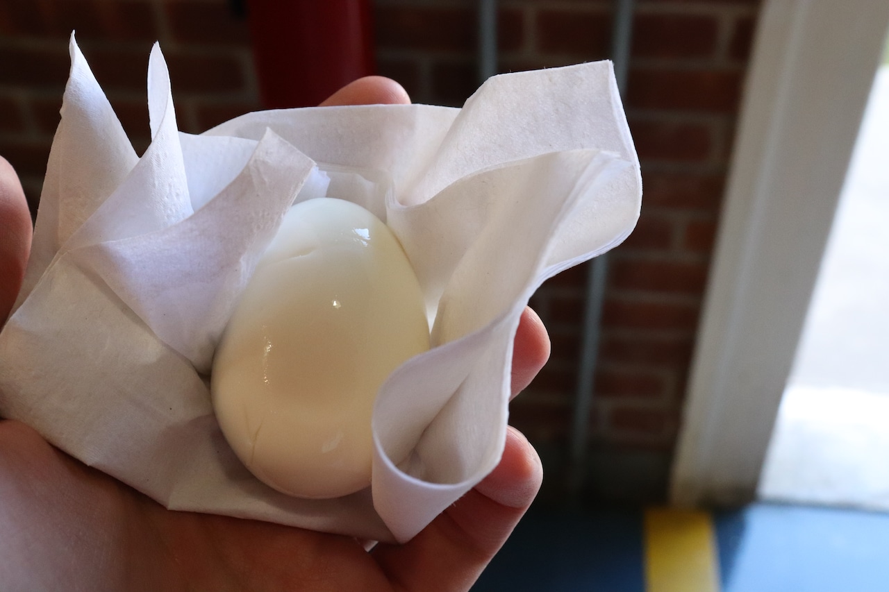 Pickled Egg