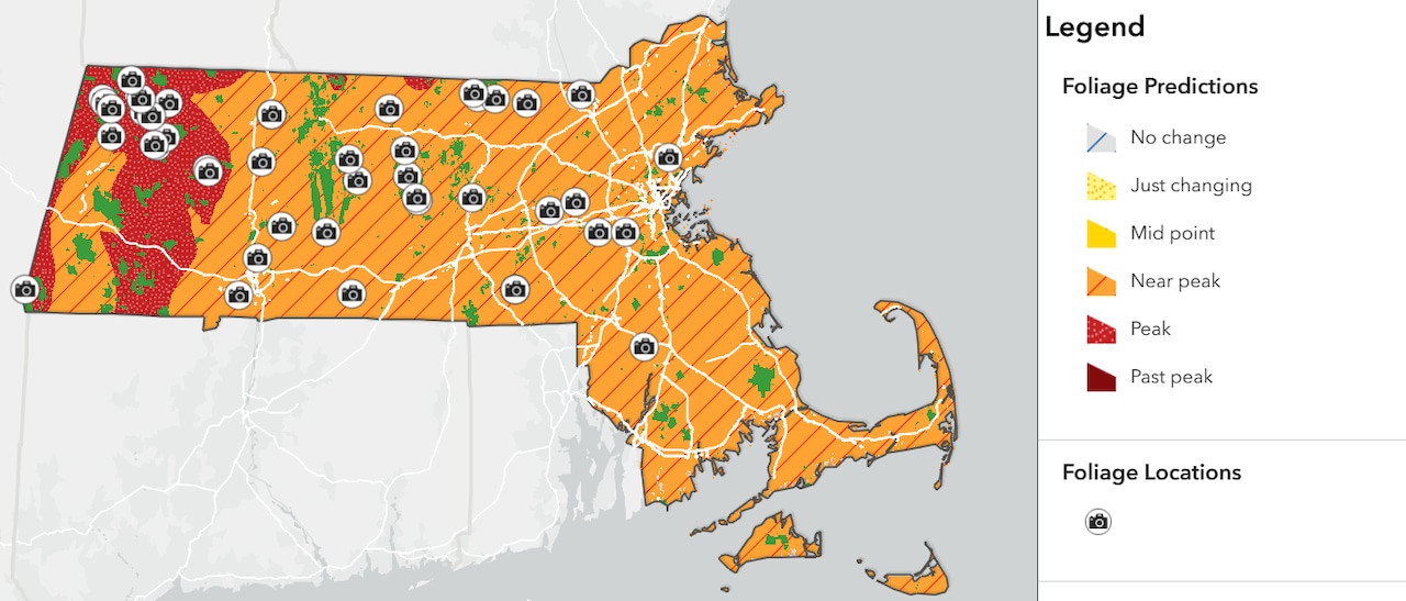 A view of the state Department of Conservation and Recreation's interactive fall foliage map, updated for October 2025
