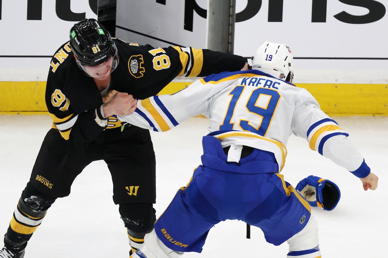Sabres Bruins Hockey