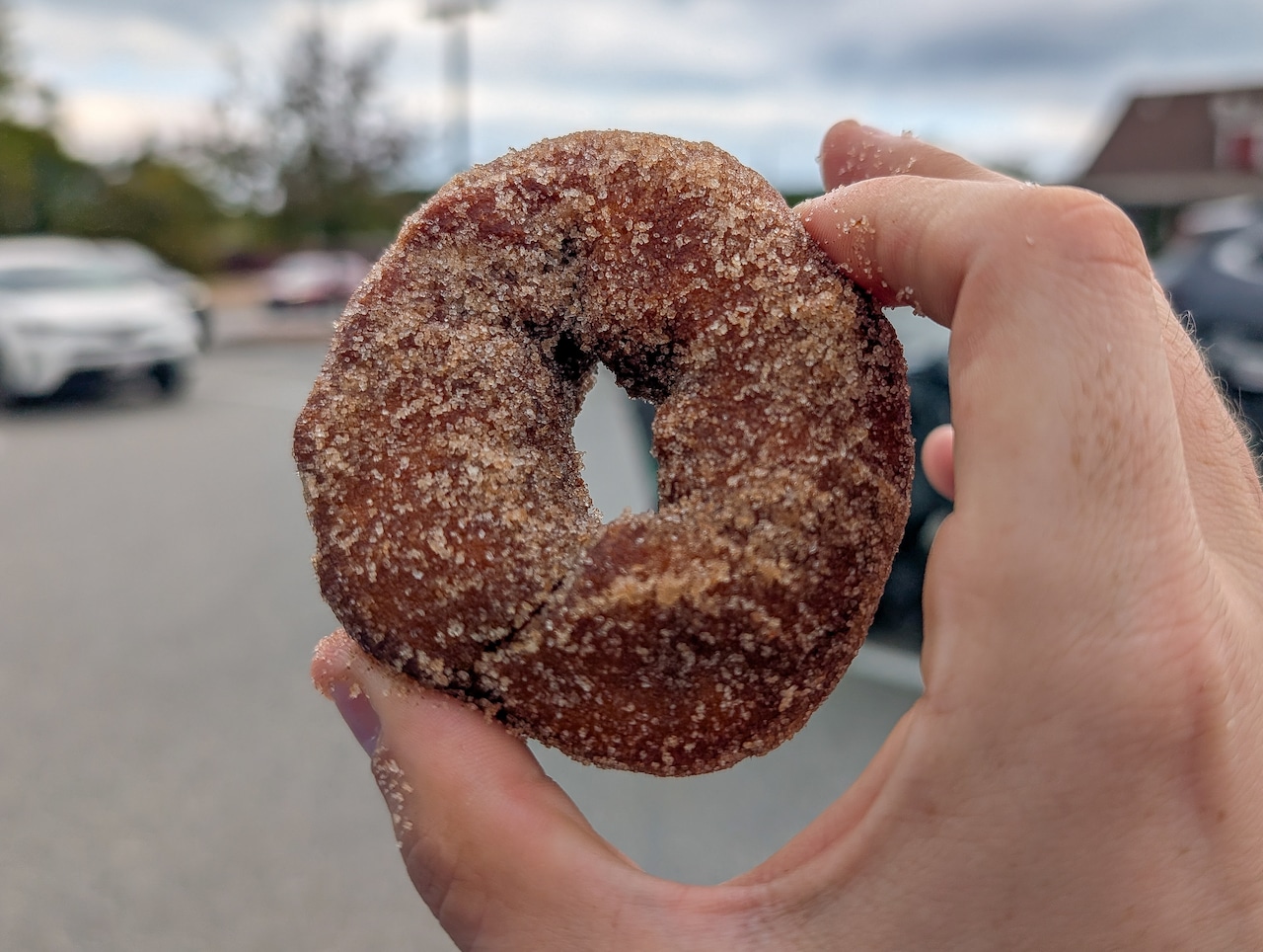 Cider doughnuts