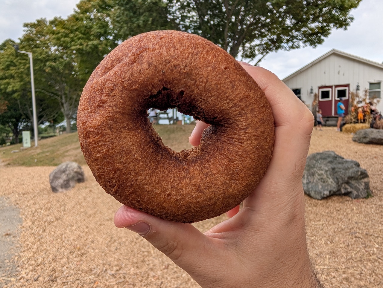 Cider doughnuts