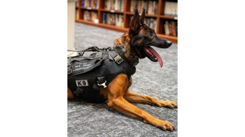 Affiliate Article 1 thumbnail - JP - 2025-11-24T094929.354.png