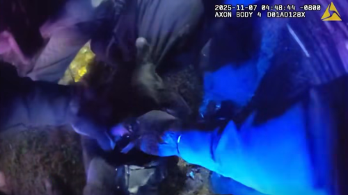 Screenshot 2025-11-13 170553.png