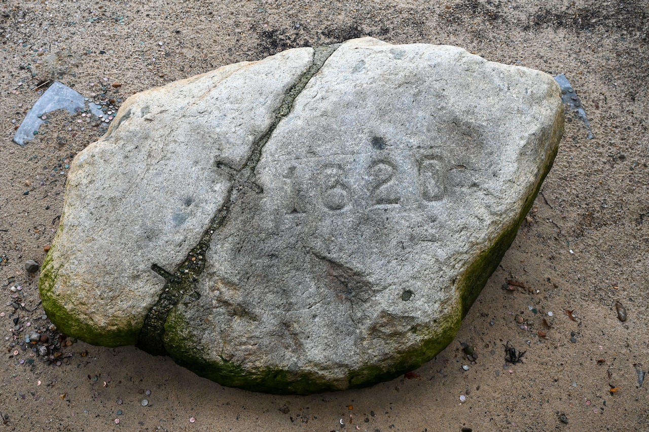 Plymouth Rock