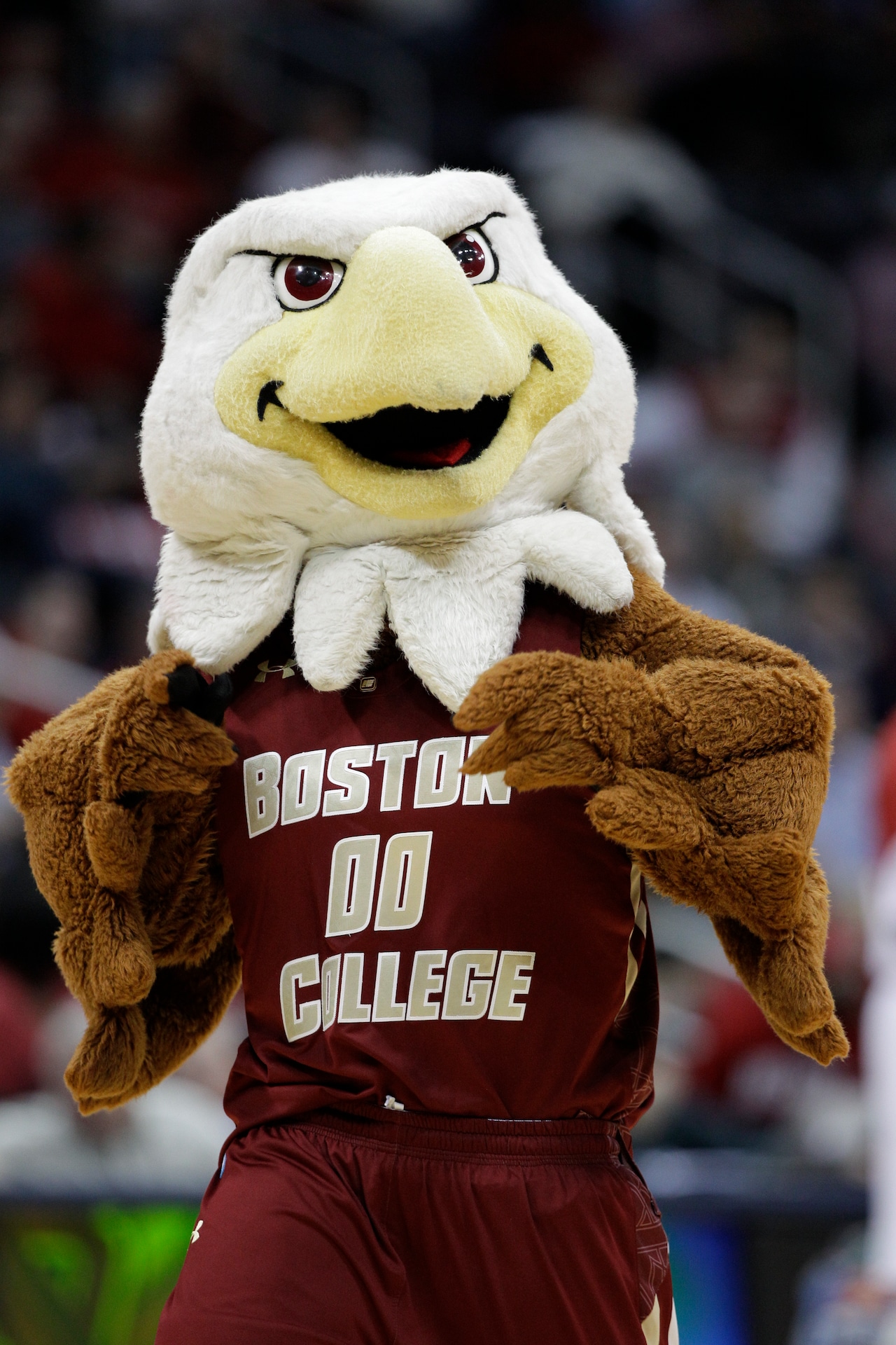 Boston College Eagles