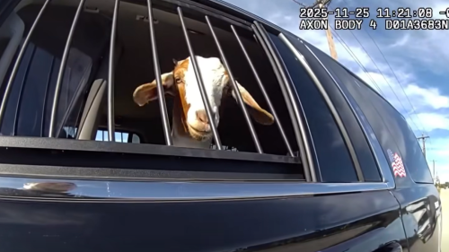 Screenshot 2025-12-01 124140.png