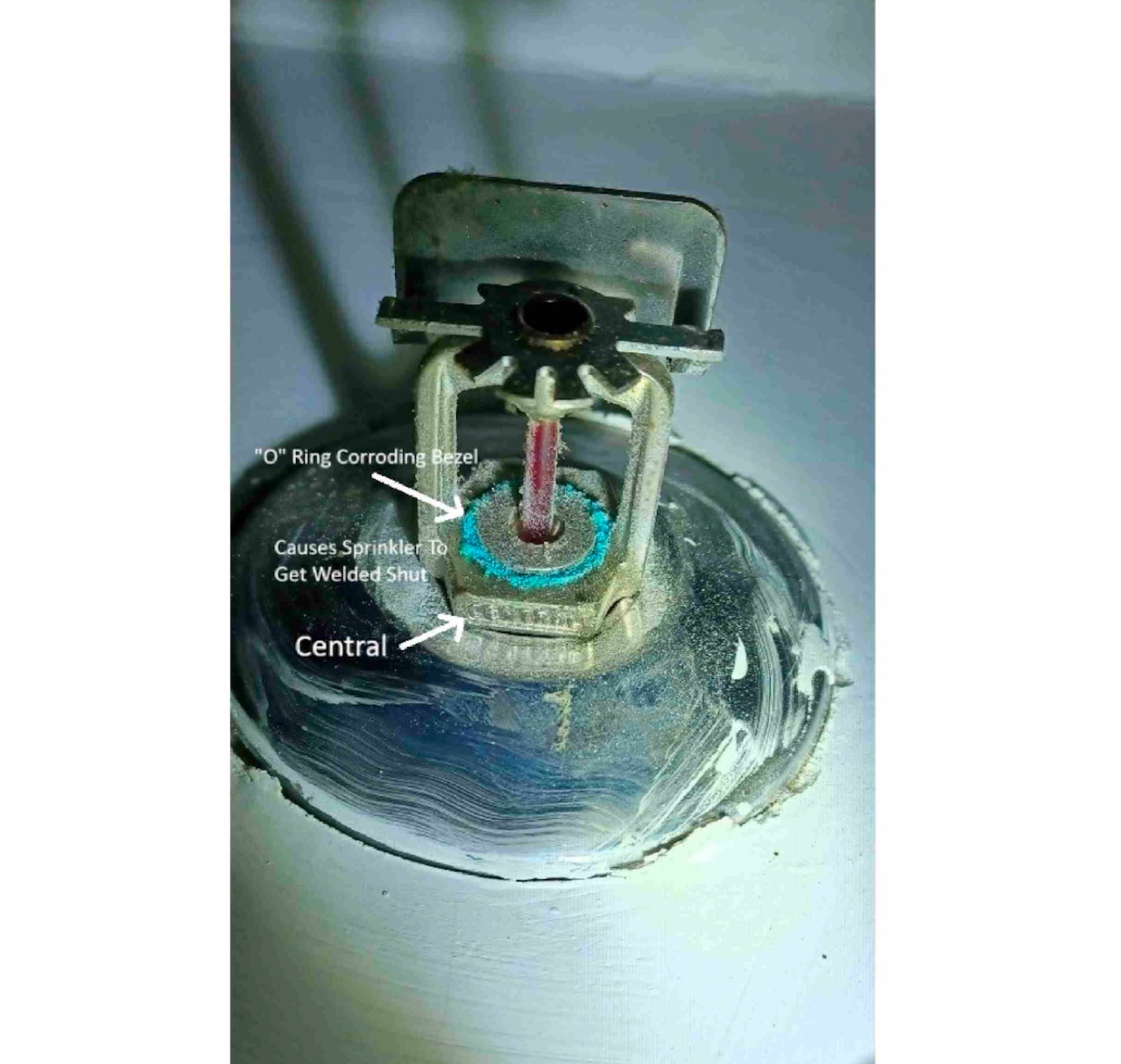 Gabriel House sprinkler