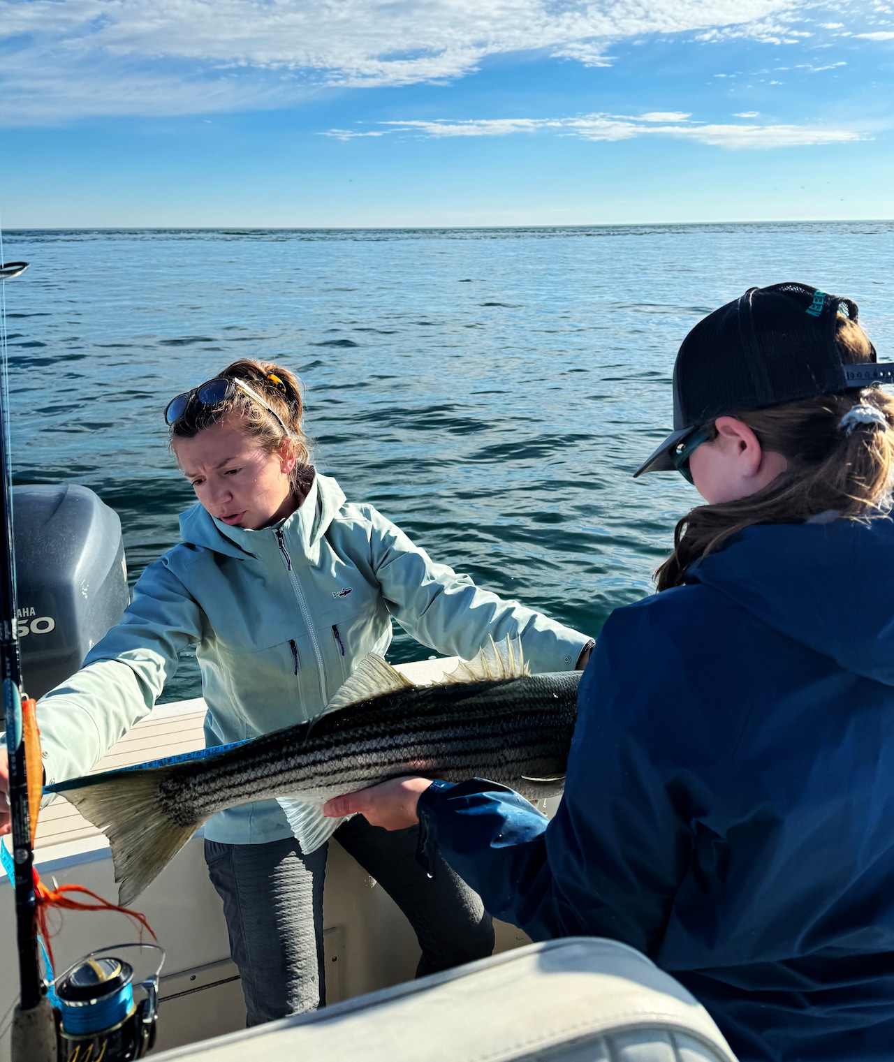 UMass Amherst striped bass study