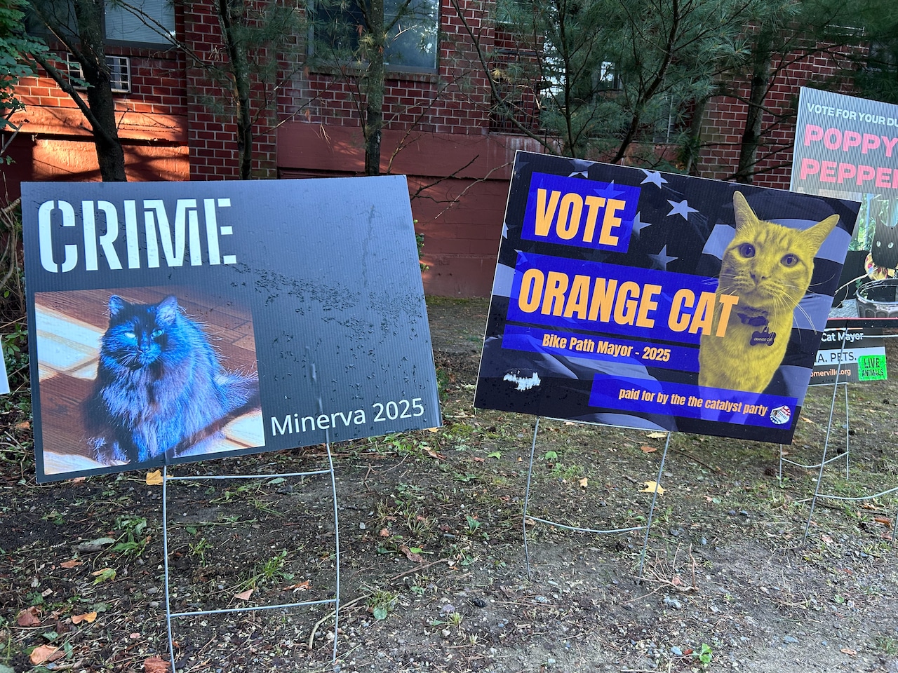 Somerville bike path mayor